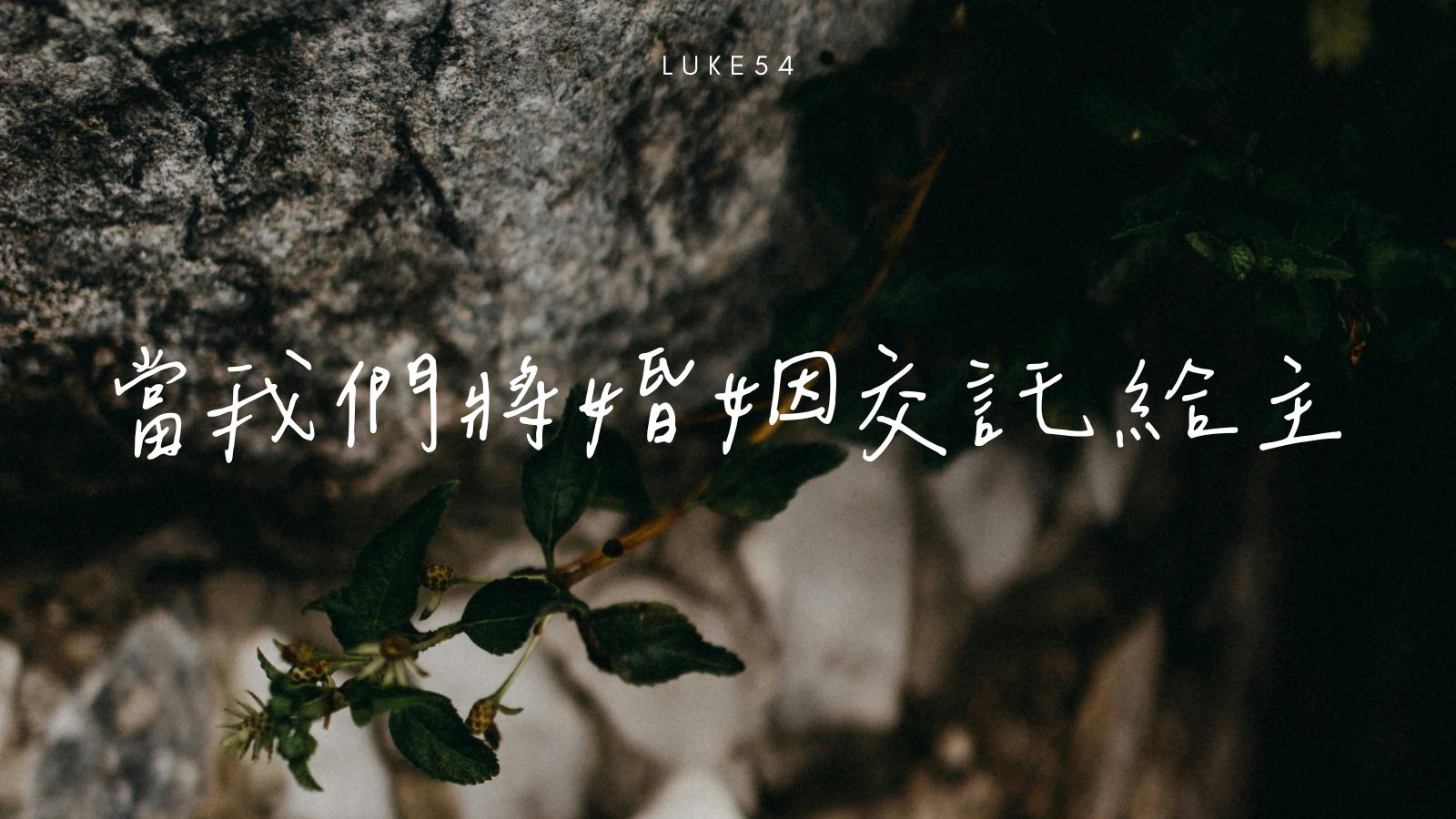 當我們將婚姻交託給主